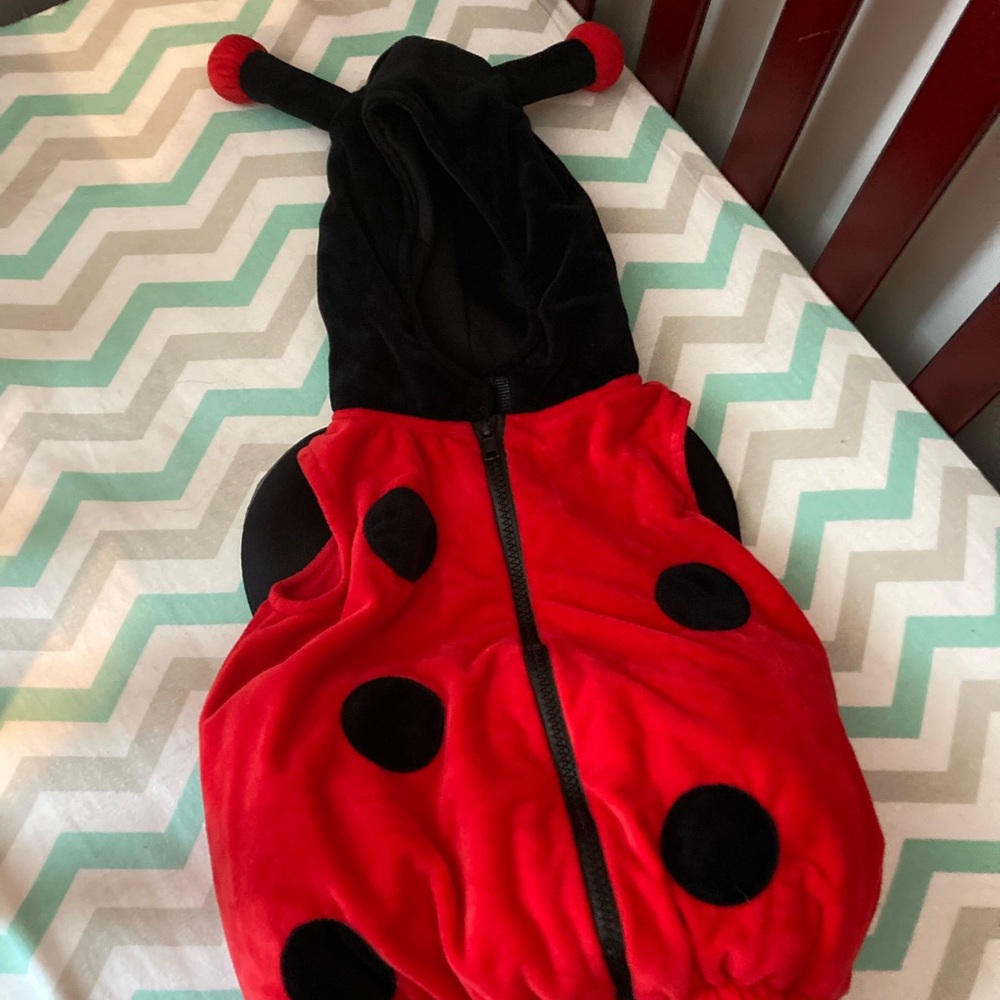 Infant ladybug costume